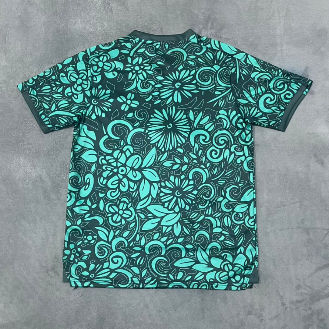 Maillot 25/26 FC(Filastin) Spécial  green