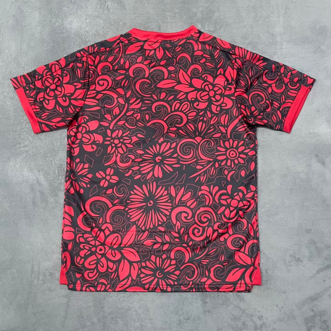 Maillot 25/26 FC(Filastin) Spécial  red