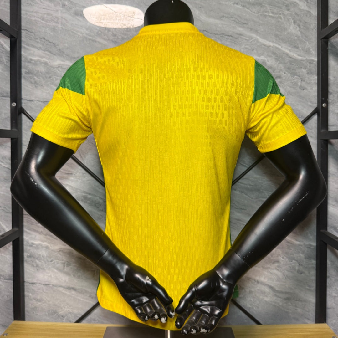 Maillot 25/26 Benin yellow  player